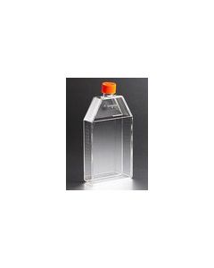 Corning CellBIND Surface,FLASK,150CM2,CANTED,PS,VENT CAP,S,BK,5/50