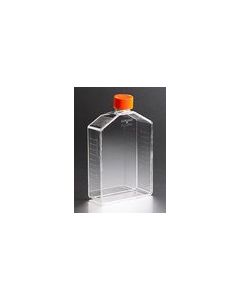Corning CellBIND Surface,FLASK,175CM2,CANTED,PS,VENT CAP,S,BK,5/50