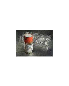 Corning® Synthemax® II, Self-coating Substrate, 10 mg/vial   