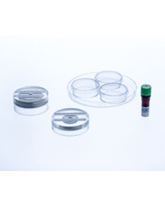 SINGLE WELL BIO ASSEMBLER KIT NANOSHUTTLE 600 µL, LEVITATING DRIVE,